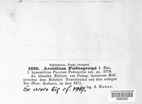 Image Associated With the Occurence